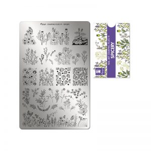 Moyra - Piastra Stamping Plate n.091 - Spicery